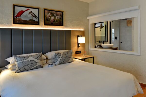 Hazyview Standard Room 2